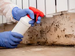 Professional Mold Inspection in Colmar Manor, MD